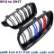 BMW M Color Front Nierengrill
